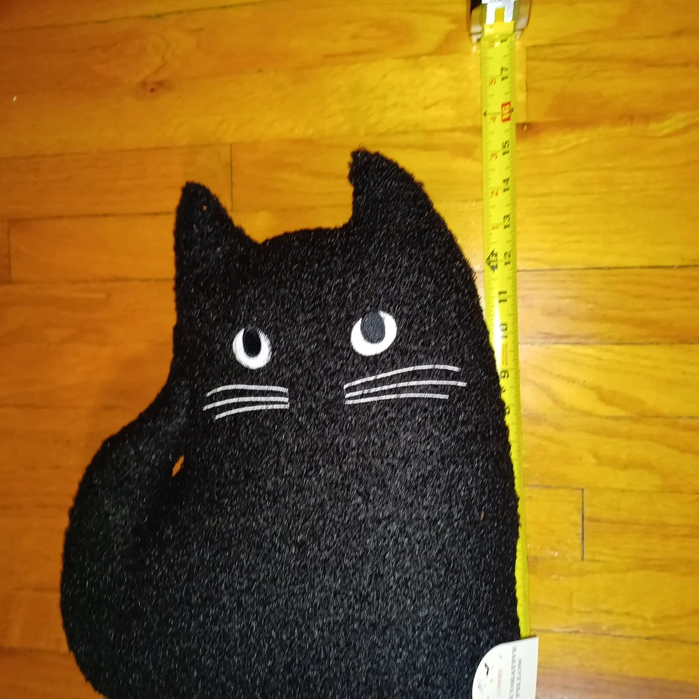 Black Cat Pillow